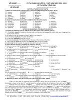 Đề thi học sinh giỏi Tiếng Anh lớp 10 số 25