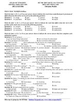 Đề thi thử THPT quốc gia môn Tiếng Anh số 6