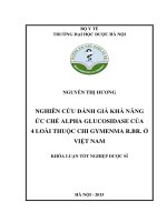 Nghiên cứu khả năng ức chế alpha glucosidase của 4 loài thuộc chi gymenma r BP ở việt nam