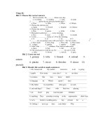 ĐỀ THI IOE ANH LỚP 5 Vòng 32