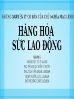 HÀNG HÓA SỨC LAO ĐỘNG