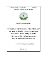 Tổng quan hệ thống và phân tích gộp về hiệu quả điều trị helicobacter pylori của phác đồ bộ ba dùng các thuốc ức chế bơm proton liều cao so với liều chuẩn