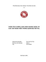 tiểu luận  PHÂN TÍCH CHIẾN LƯỢC KINH DOANH QUỐC TẾ CỦA TẬP ĐOÀN VIỄN THÔNG QUÂN ĐỘI VIETTEL