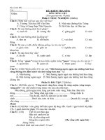 Đề thi học sinh giỏi Tiếng Việt lớp 5 số 8