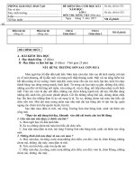 Đề kiểm tra cuối học kì 2 môn Tiếng Việt lớp 5 số 31