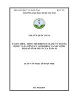 Tách chiết, tinh chế ribonuclease từ trứng động vật lưỡng cư (amphibia) và xác định một số tính chất của enzym