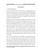 MỘT SỐ GIẢI PHÁP NHẰM HOÀN THIỆN HỆ THỐNG KÊNH PHÂN PHỐI TẠI CÔNG TY TNHH AUSTDOOR MIỀN NAM