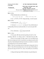 2 đề thi chọn HSG tỉnh toán 9 có đáp án