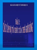 Bài giảng sinh học 10 bài 1 các cấp tổ chức của thế giới sống