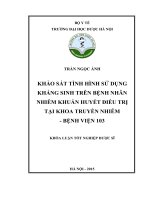 Khảo sát tình hình sử dụng kháng sinh trên bệnh nhân nhiễm khuẩn huyết điều trị tại khoa truyền nhiễm bệnh viện 103