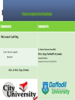 Thesis on apparel merchandising