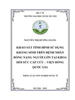 Khảo sát tình hình sử dụng kháng sinh trên bệnh nhân bỏng nặng người lớn tại khoa hồi sức cấp cứu