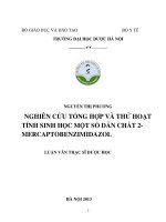 Nghiên cứu tổng hợp và thử tác dụng hoạt tính sinh học một số dẫn chất , mercaptobenzimidazol