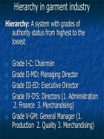 Heirarchy in Garment Industry