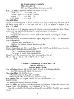 Hoá học 8 - đề kiểm tra, thi học kỳ, sưu tầm thi học sinh giỏi tham khảo ôn thi (95)