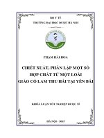 Chiết xuất, phân lập một số hợp chất từ một loài giảo cổ lam thu hái tại yên bái