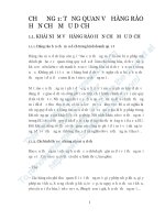 Tiểu luận bảo hộ mậu dịch