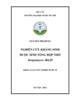 Nghiên cứu kháng sinh được sinh tổng hợp nhờ streptomyces 184 29
