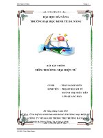 BÀI TẬP NHÓM MÔN:THƯƠNG MẠI ĐIỆN TỬ