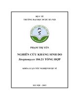 Nghiên cứu kháng sinh do streptomyces 184 21 tổng hợp