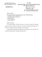 Đề thi đề xuất học sinh giỏi các trường chuyên khu vực duyên hải và đồng bằng bắc bộ môn ngữ văn 10 năm 2015 trường chuyên LÀO CAI