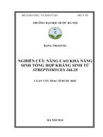 Nghiên cứu nâng cao khả năng sinh tổng hợp kháng sinh từ streptomyces 166 28