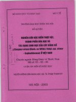 Nghiên cứu đặc điểm thực vật, thành phần hóa học và một số tác dụng sinh học của cây bỏng nổ (plueggea virosa (roxb   ex willd ) voigt ssp  virosa   euphorbiaceae) ở việt nam