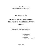Nghiên cứu sinh tổng hợp kháng sinh từ streptomyces 184 213