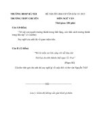 Đề thi đề xuất học sinh giỏi các trường chuyên khu vực duyên hải và đồng bằng bắc bộ môn ngữ văn 10 năm 2015 trường chuyên ĐẠI HỌC SƯ PHẠM HÀ NỘI