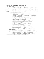 ĐỀ THI IOE LỚP 5 MÔN ANH VÒNG 11