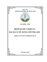 Định danh vi khuẩn bacillus sp  bằng chỉ thị ADN