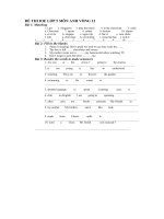 ĐỀ THI IOE LỚP 5 MÔN ANH VÒNG 12