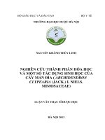 Nghiên cứu thành phần hóa học và một số tác dụng sinh học của cây mán đỉa ( archidendron clypearia (jack ) i neils  mimosaceae)