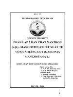 Phân lập 3 dẫn chất xanthon (α, β, γ  mangostin) chiết xuất từ vỏ quả măng cụt (garcinia mangostana l )