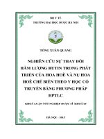 Nghiên cứu sự thay đổi hàm lượng rutin trong phát triển của hoa hòe và nụ hoa hòe chế biến theo y học cổ truyền bằng phương pháp HPTLC