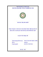 Thực trạng và đề xuất giải pháp thực hiện quyền sử dụng đất tại Huyện Thanh Trì, Thành phố Hà Nội