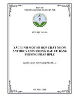 Xác định một số hợp chất nhóm anthocyanin trong rau củ bằng phương pháp HPLC