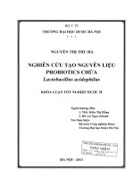 Nghiên cứu tạo nguyên liệu probiotics chứa lactobacillus acidophilus