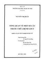 Tổng quan về một số cây thuốc chữa bệnh gout
