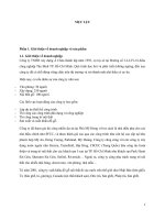 Tiểu luận quản trị chiến lược  chiến lược thâm nhập đồ nội thất sang thị trường mỹ