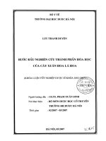 Bước đầu nghiên cứu thành phần hóa học của cây xuân hoa lá hoa