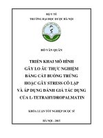 Triển khai mô hình gây lo âu thực nghiệm bằng cắt buồng trứng hoặc gây stress cô lập và áp dụng đánh giá tác dụng của l tetrahydropalmatin