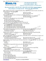 Đề 3 Ứng dụng di truyền vào chọn giống