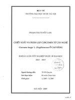 Chiết xuất và phân lập curcumin từ cây nghệ ở cao bằng