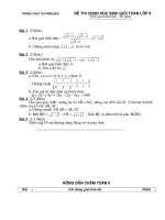 Đề thi chọn học sinh giỏi toán lớp 9 Trường THCS Thị Trấn Neo