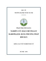 Nghiên cứu bào chế pellet rabeprazol bằng phương pháp bồ dần