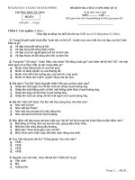 Đề văn lớp 11- sưu tầm tham khảo ôn thi kiểm tra, thi học sinh giỏi văn (39)