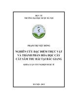 Nghiên cứu đặc điểm thực vật và thành phần hóa học cây cát sâm thu hái tại bắc giang