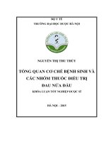 Tổng quan cơ chế bệnh sinh và một số nhóm thuốc điều trị đau nửa đầu