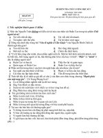 Đề văn lớp 11- sưu tầm tham khảo ôn thi kiểm tra, thi học sinh giỏi văn (34)